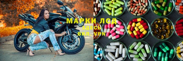 СК Аркадак