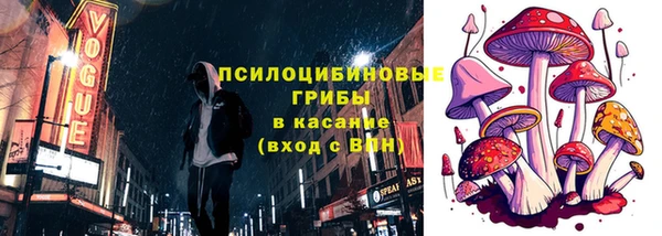 прущие грибы Арсеньев