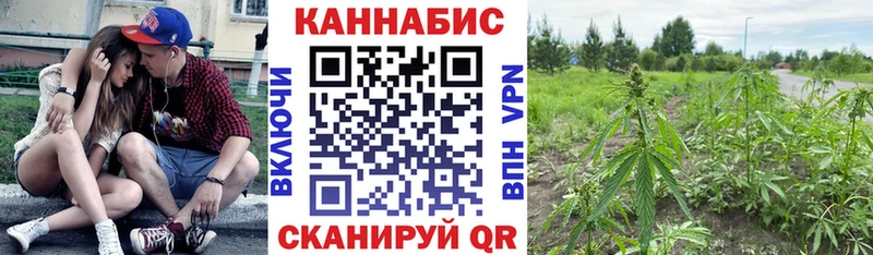 Конопля конопля  Купить закладки  Балабаново 